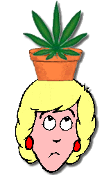 pothead.gif