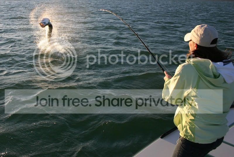 tarpon31.jpg