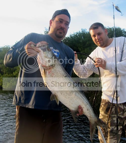 tarponOct09.jpg