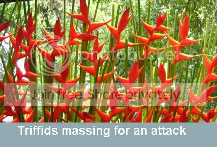 triffid-attack.jpg