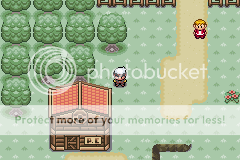 Pokemon green forest