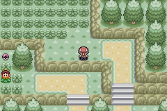 Pokemon green forest