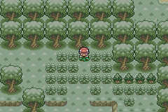 Pokemon greenforest (NEW)