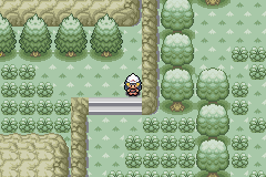 Pokemon green forest