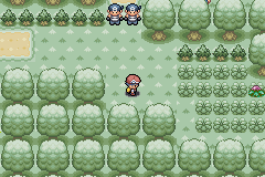 Pokemon green forest