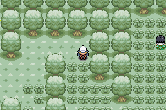 Pokemon green forest