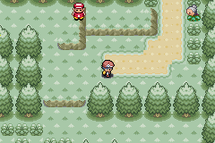 Pokemon green forest