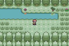 Pokemon green forest