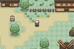 Pokemon green forest