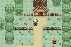 Pokemon green forest