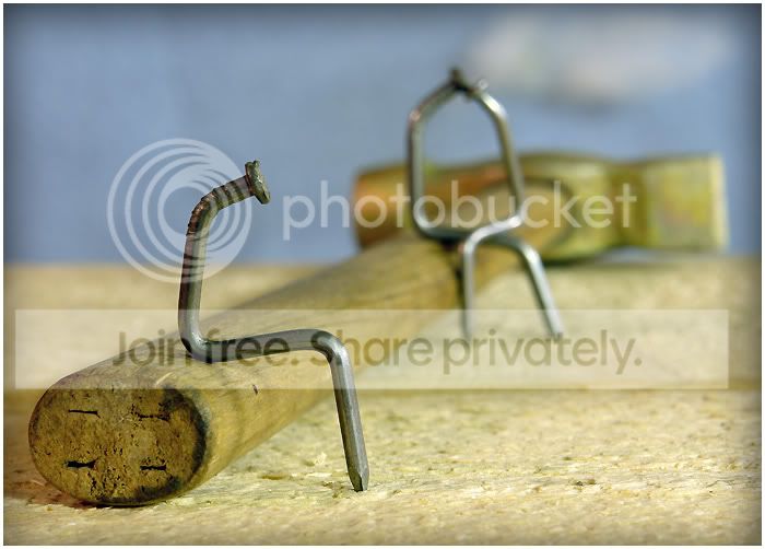 nails_002.jpg