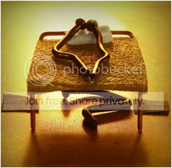 nails_007.jpg