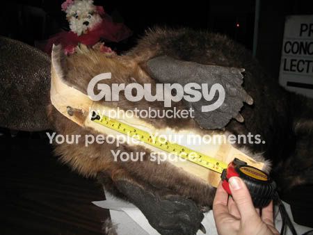 06.jpg