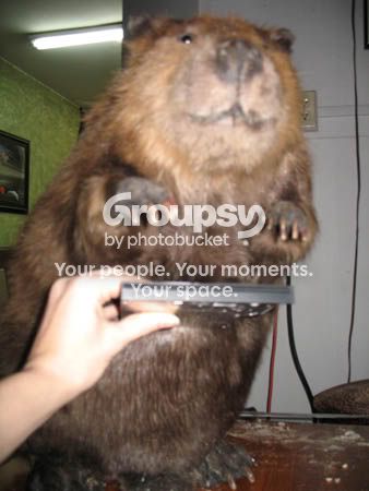 09.jpg