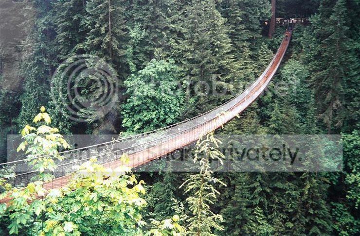 bridges-010.jpg