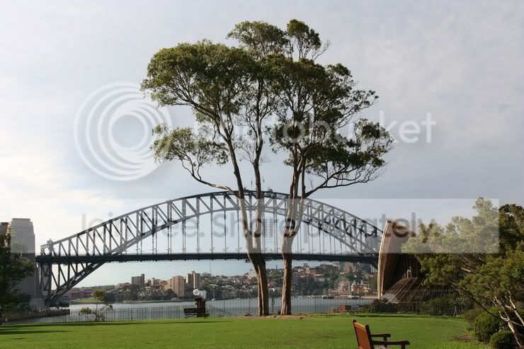 bridges-011.jpg