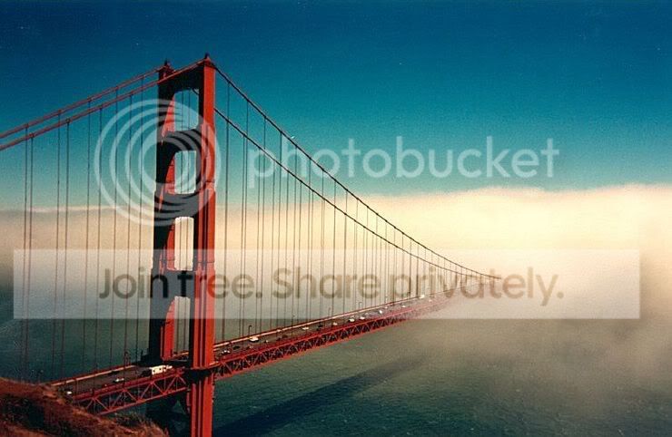 bridges-014.jpg