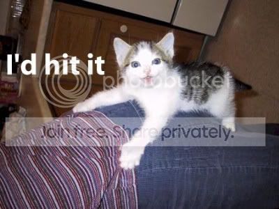 funny_cat_pictures_007.jpg