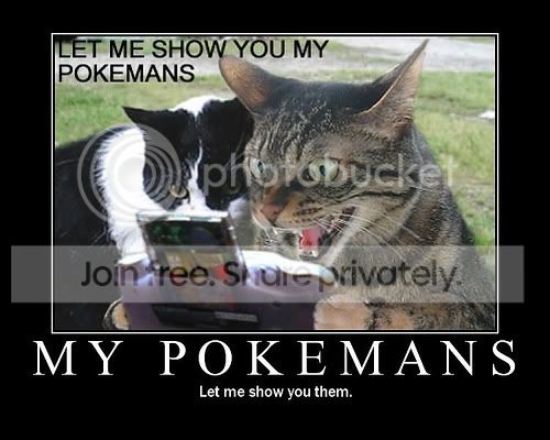 funny_cat_pictures_012.jpg