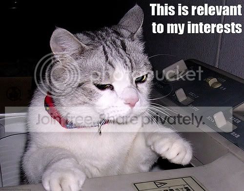 funny_cat_pictures_013.jpg
