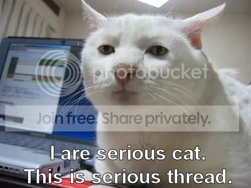 funny_cat_pictures_014.jpg