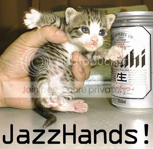 funny_cat_pictures_017.jpg