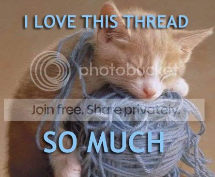funny_cat_pictures_023.jpg