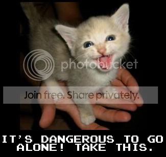 funny_cat_pictures_028.jpg