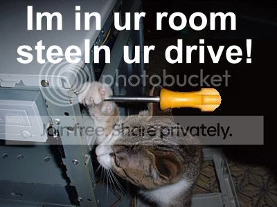 funny_cat_pictures_051.jpg