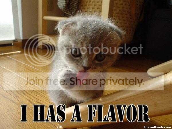 funny_cat_pictures_104.jpg