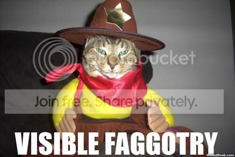 funny_cat_pictures_109.jpg