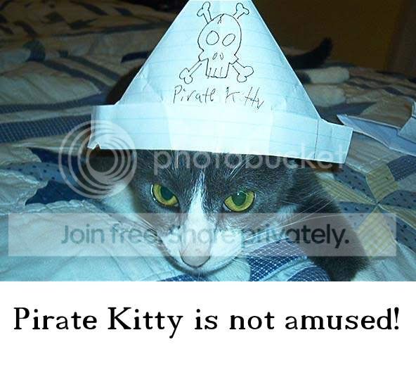funny_cat_pictures_118.jpg