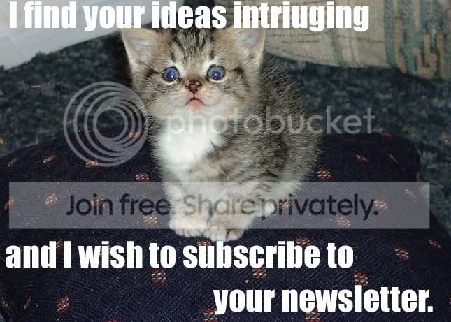 funny_cat_pictures_133.jpg