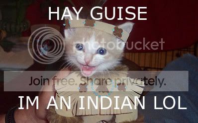 funny_cat_pictures_134.jpg