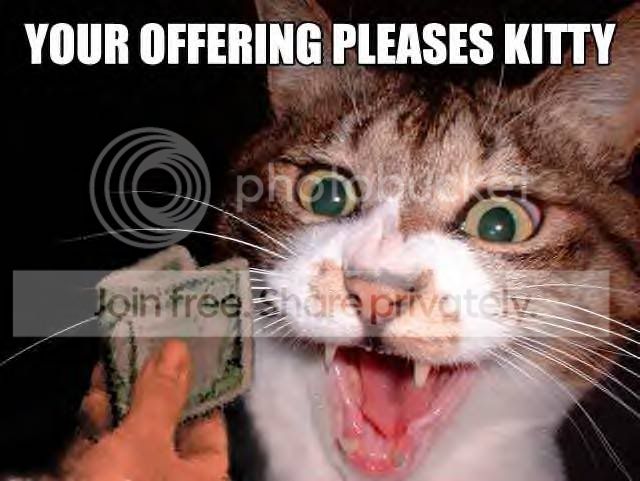 funny_cat_pictures_147.jpg