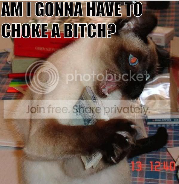 funny_cat_pictures_167.jpg
