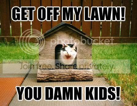 funny_cat_pictures_179.jpg