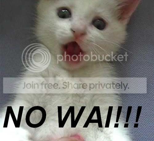 funny_cat_pictures_184.jpg