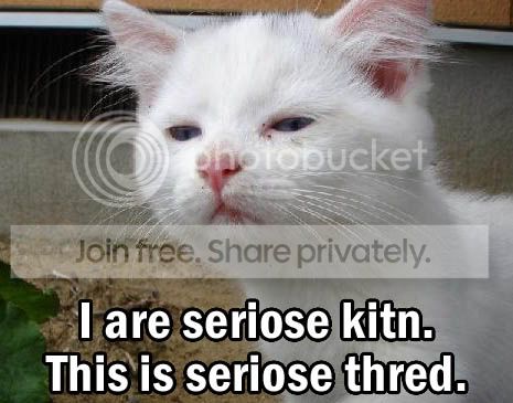 funny_cat_pictures_196.jpg