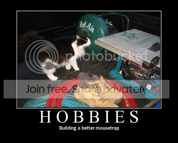 funny_cat_pictures_207.jpg