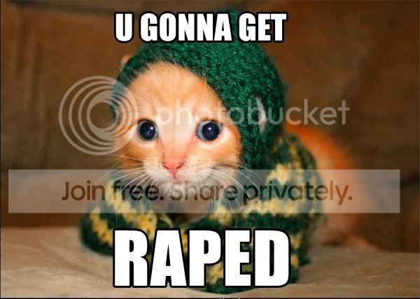 funny_cat_pictures_209.jpg