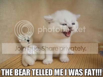 funny_cat_pictures_217.jpg