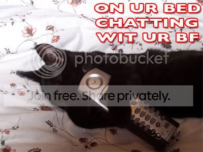 funny_cat_pictures_222.jpg