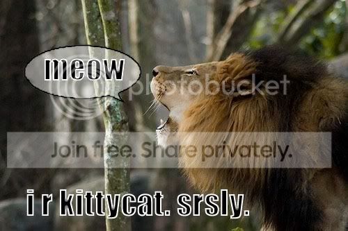 funny_cat_pictures_224.jpg