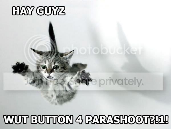 funny_cat_pictures_257.jpg