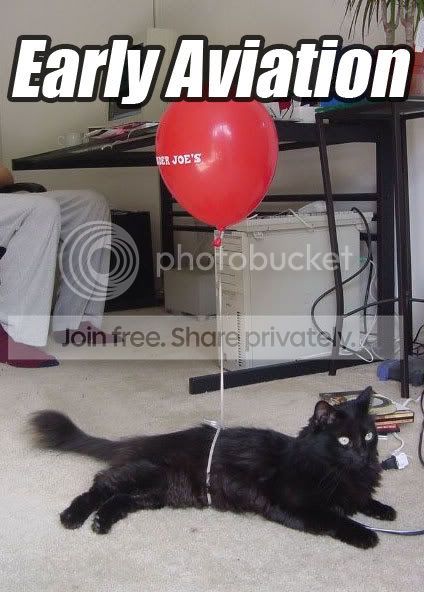 funny_cat_pictures_273.jpg