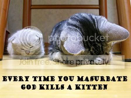 funny_cat_pictures_281.jpg