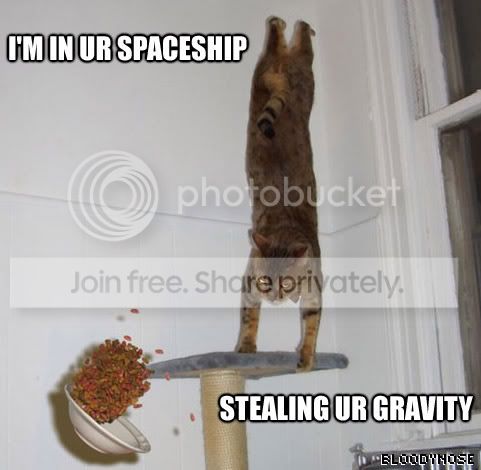 funny_cat_pictures_283.jpg