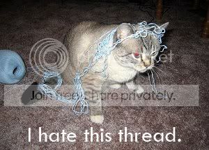 funny_cat_pictures_287.jpg