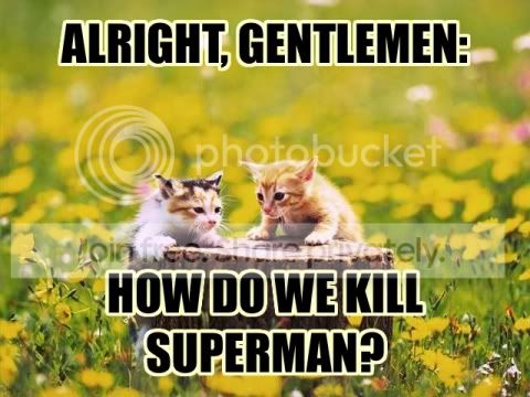 funny_cat_pictures_305.jpg